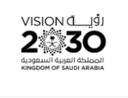 Vision 2030